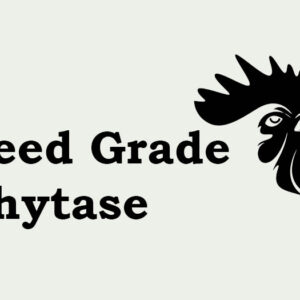 Feed Grade Phytase