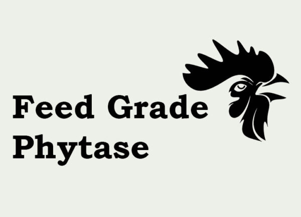 Feed Grade Phytase