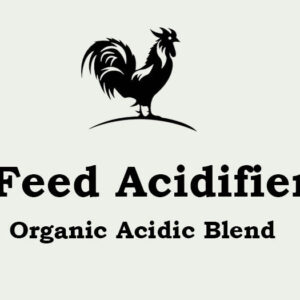 Feed Acidifier (Organic Acidic Blend)