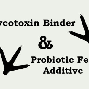 Mycotoxin binder Probiotic Feed Additive