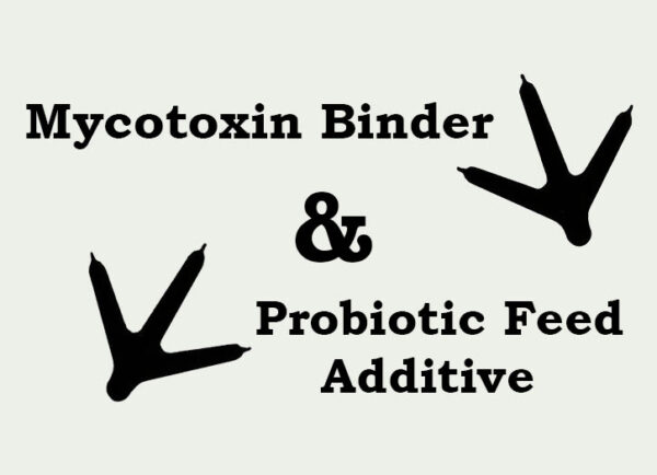 Mycotoxin binder Probiotic Feed Additive