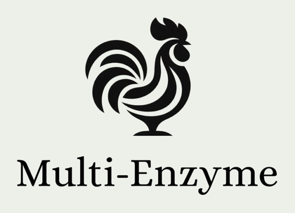 Multi enzyme