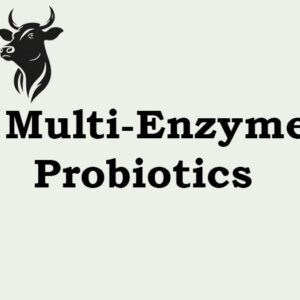 Multi Enzyme With Probiotics